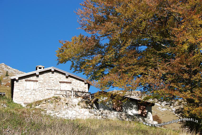 09 12586 Cascina Matuida.JPG